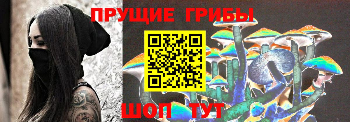 Галлюциногенные грибы Psilocybine cubensis  Вход с VPN  Кизилюрт 